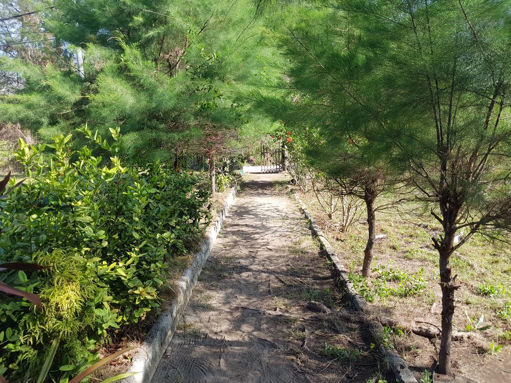 Sasak Island Bungalows Ilhas Gili Exterior foto